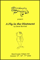 A Fly In The Ointment  -  Oct 2009